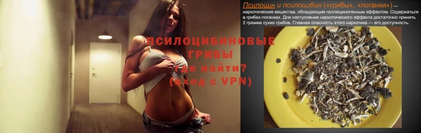 а пвп мука Пестово