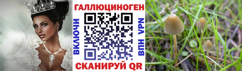 Псилоцибиновые грибы GOLDEN TEACHER  Канск 
